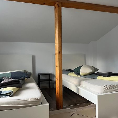 Vila Cri Cri Busteni Luaran gambar