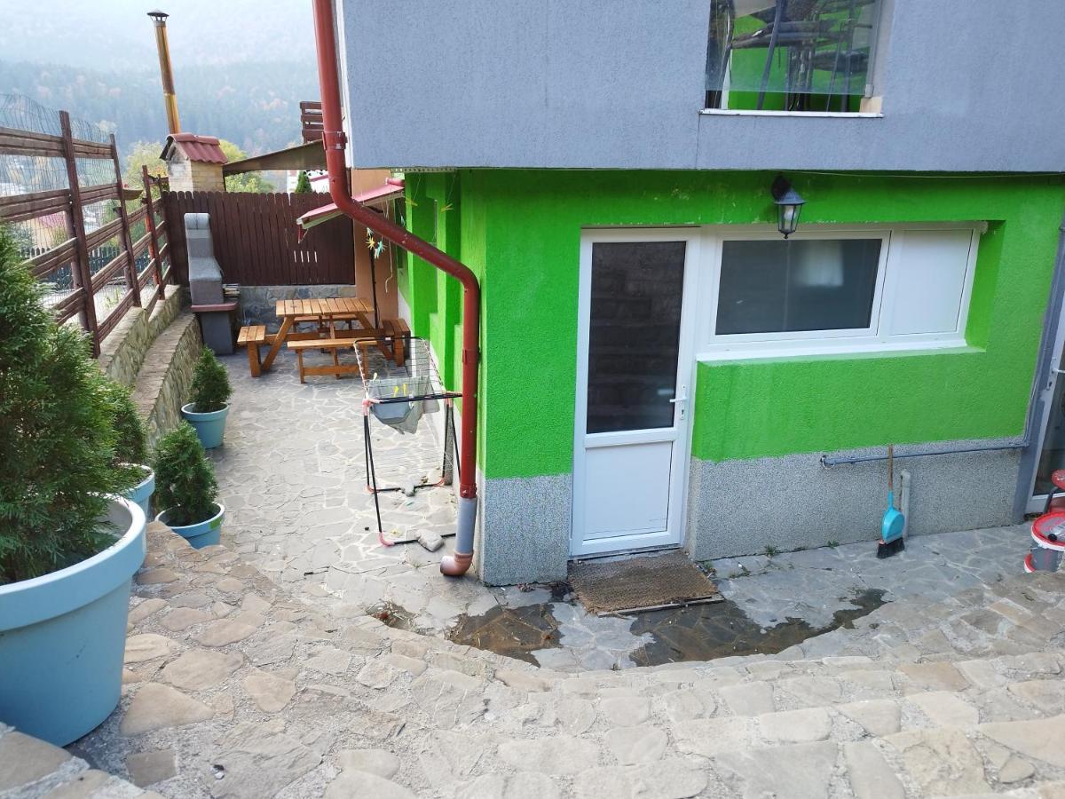 Vila Cri Cri Hotel Busteni Luaran gambar