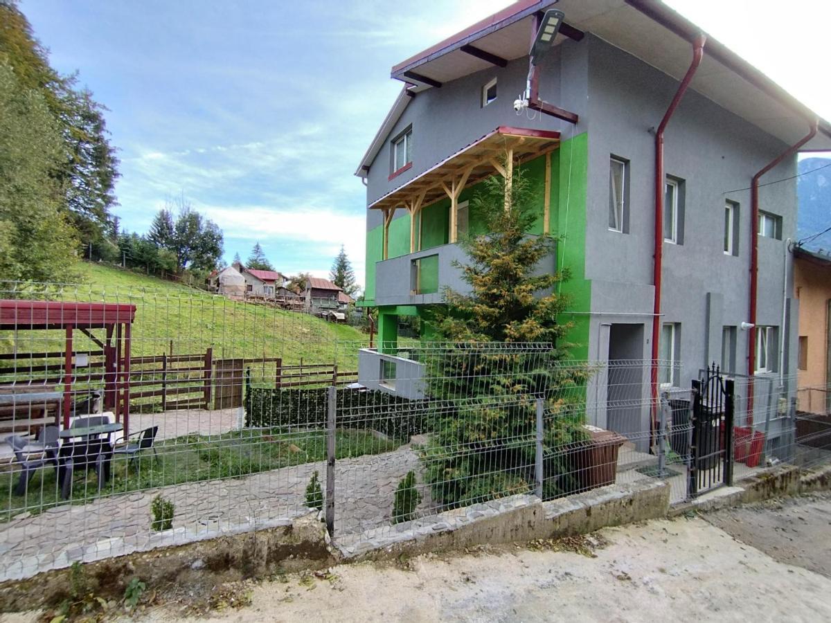 Vila Cri Cri Busteni Luaran gambar