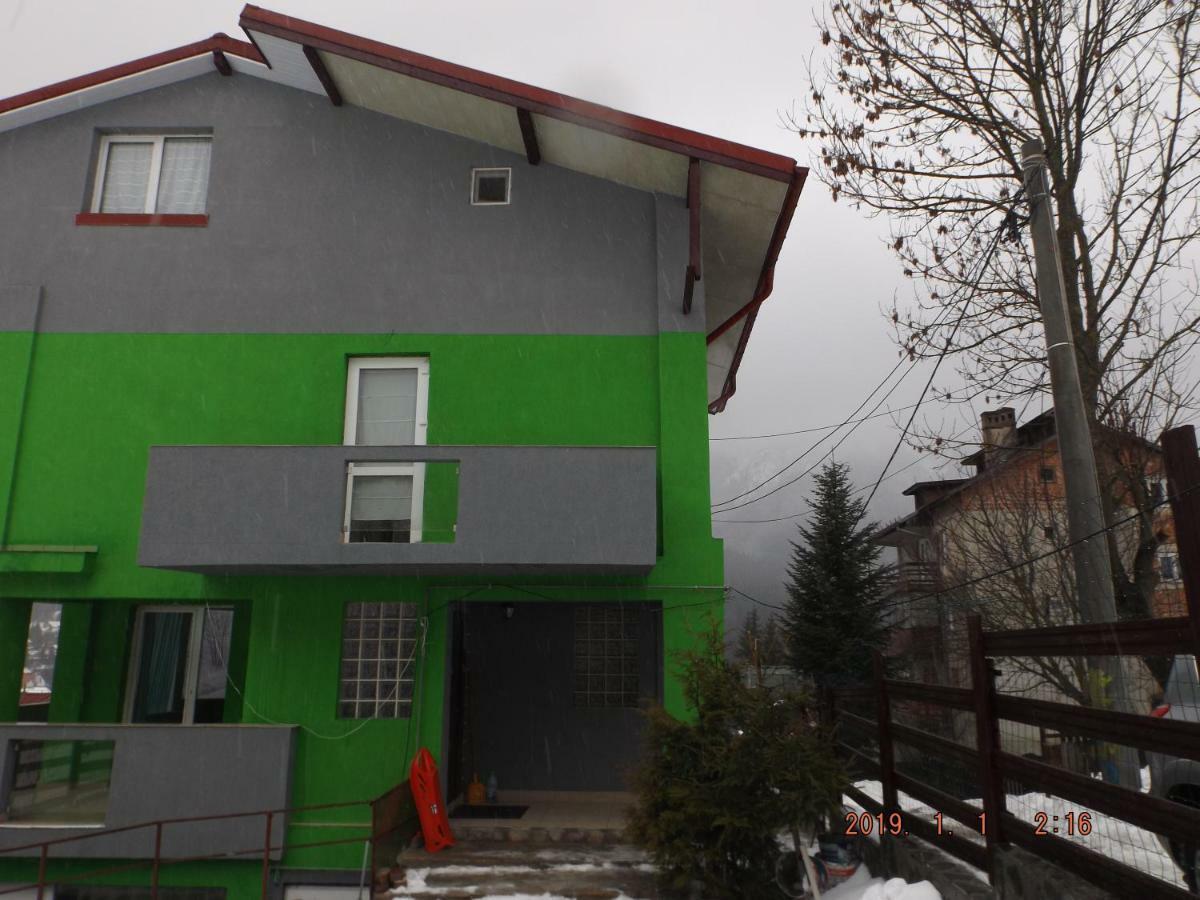 Vila Cri Cri Busteni Luaran gambar